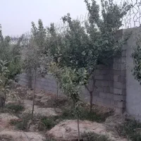 باغ ویلای لاکچری بهترین موقعیت وامکانات نصف قیمت|فروش خانه و ویلا|مشهد, توس فردوسی|دیوار