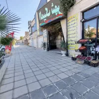 فروش ملک تجاری عرصه عیان بلوار امام علی|فروش مغازه و غرفه|ایلام, |دیوار