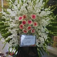 تاج گل مراسم ترحیم  و افتتاحیه قیمت منصفانه|گل و گیاه طبیعی|لاهیجان, امیرشهید|دیوار