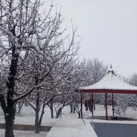 اجاره ویلا( باغ)|اجارهٔ کوتاه‌مدت ویلا و باغ|سپیدان, |دیوار