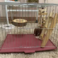 ۲ عدد قفس پرنده بهمراه ملزومات|لوازم جانبی حیوانات|رشت, کوی بیانی|دیوار