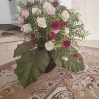 گل گلدان سالم