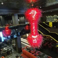 سالنکار و گارسن