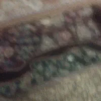 نظافت انجام میدم