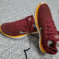 کفش اورجینال تاناکورا|کیف، کفش، کمربند|سقز, |دیوار