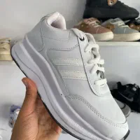 اسپرت زنانه|کیف، کفش، کمربند|بیرجند, |دیوار