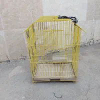 فروش سبد کبوتر