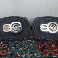 پایونر‌۶۹۷۵‌اصل