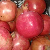 آنار دانه قرمز