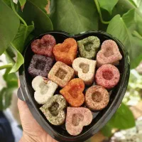 قندهای گیاهی، تزئینی و نبات های دمنوشی