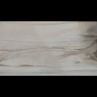 چادر ماشین هاچبک و ریموت دزدگیر درب|قطعات یدکی و لوازم جانبی|شیراز, شهرک بزین|دیوار