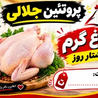 مرغ خورد کن حرفه ای