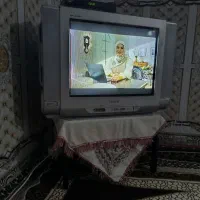 تلویزیون همراه با دیجیتال و میز چوبی