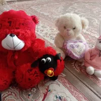 عروسک پولیشی