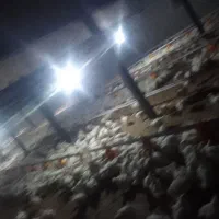 یه کارگری میخوام ۲۵به بالاسنش باشه واسه مرغداری
