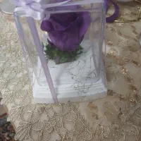 گل با جام|گل مصنوعی|اندیشه, اندیشه فاز ۳|دیوار