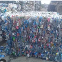 فروش وخرید پت پرسی