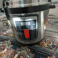 سرخ کن وپلوپزبرقی