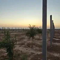 زمین ۷۵۰ متری،باغی اقساطی|فروش زمین و ملک کلنگی|شاهین‌شهر, شهرک میلاد|دیوار