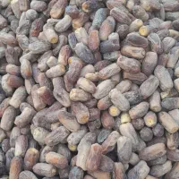 خرما ارگانیک|خوردنی و آشامیدنی|خاش, |دیوار