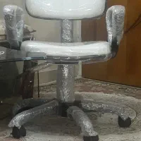 ۲ عدد صندلی سفید و مشکی با برند معتبر جک دار