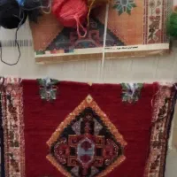 دارقالی باقالی ۵۰ درصدبافته شده|فرش|جهرم, |دیوار