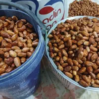 سنجد تازه و اصلاح شده