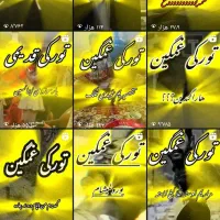 پیج تبریز با ۳۵ هزار نفر فالور واقعی ترک و تبریزی|لوازم جانبی موبایل و تبلت|تبریز, |دیوار