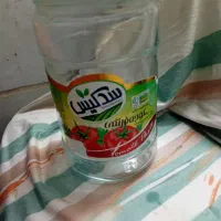 شیشه ربی