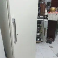 یخچال پارس ۱۲فود موتور فابریک