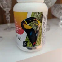 سرلاک طوطی برزیلی و غیره