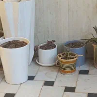 حراج گلدان سرامیکی