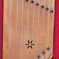 سنتور اقای شیخ شعاعی|سازهای سنتی|کرمان, |دیوار