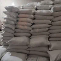 استخدام|استخدام بازاریابی و فروش|کارون, |دیوار