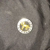 دو عدد مدال استیل