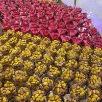 تولد نامزدی سفره عقد بادکنک فینگرفود کیک شب چله|خدمات پذیرایی، مراسم|مشهد, رضاشهر|دیوار