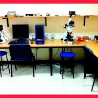 شهابسنگ - کارشناسی و آنالیز آزمایشگاهی|جواهرات|شهریار, |دیوار