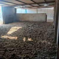 فروش|فروش دفتر صنعتی، کشاورزی، تجاری|تربت جام, جامرود|دیوار