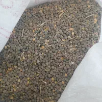 کرو محلی فروشی مخصوص کشت و کبوتر