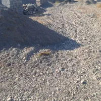 زمین فروشی|فروش زمین و ملک کلنگی|شمیل, |دیوار