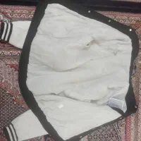 کاپشن اصل|لباس|مشگین شهر, |دیوار