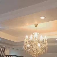 دوعددلوستر6شاخه