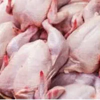 غذای سگ و گربه گوشت مرغ کامل تمیز شده