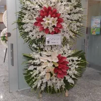 فروش تاج گل های مناسبتی تک و عمده|گل و گیاه طبیعی|تهران, آهنگ|دیوار