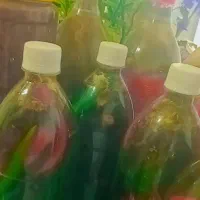 ترشیجات|عمده‌فروشی|شاهرود, |دیوار