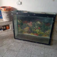 آکواریوم بزرگ