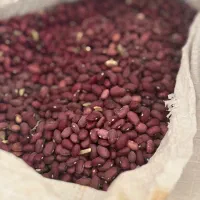 لوبیا قرمز