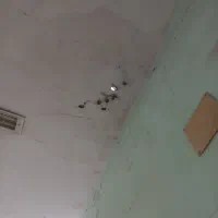 رنگ آمیزی مدرسه