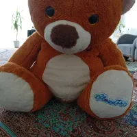 عروسک خرس پشمالو