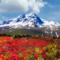 کاروان کربلا مشهد